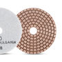 Diarex Flexible Metal Grinding Disc 4