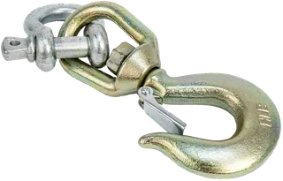 Diarex Boom Hook and Shackle 6000lb Capacity with Safety Latch