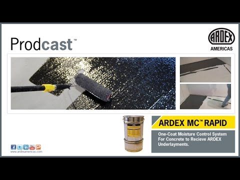 CRDダーク　約100ｇ ARDEX MC RAPID Moisture Control System