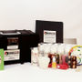 Americolor Beginners Spot Dye Kit