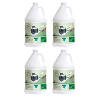 Bridgepoint Encapuclean DS with Maxim