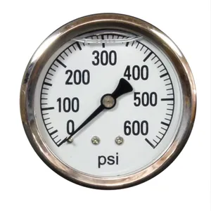 Pressure Gauge 600psi