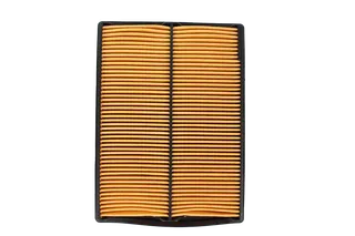 Honda Air Filter Element 17210-ZJ1-842