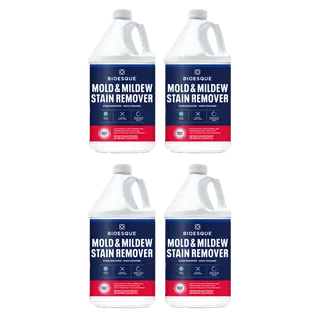 Bioesque Mold and Mildew Stain Remover