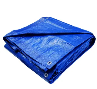 Tarp Supply Blue Poly Tarp 30' x 50'