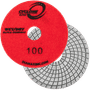 Cyclone Ultra Wet/Dry Polishing Pad 4