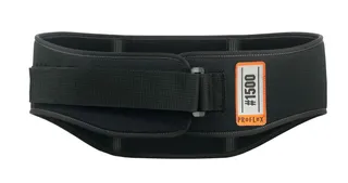 Ergodyne ProFlex 1500 Back Support, Medium