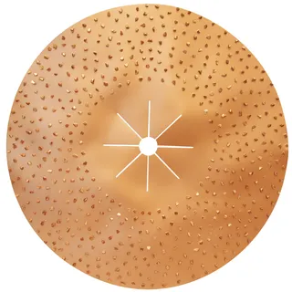 Pearl Double Sided Carbide Chip Disc 16" CCD016P